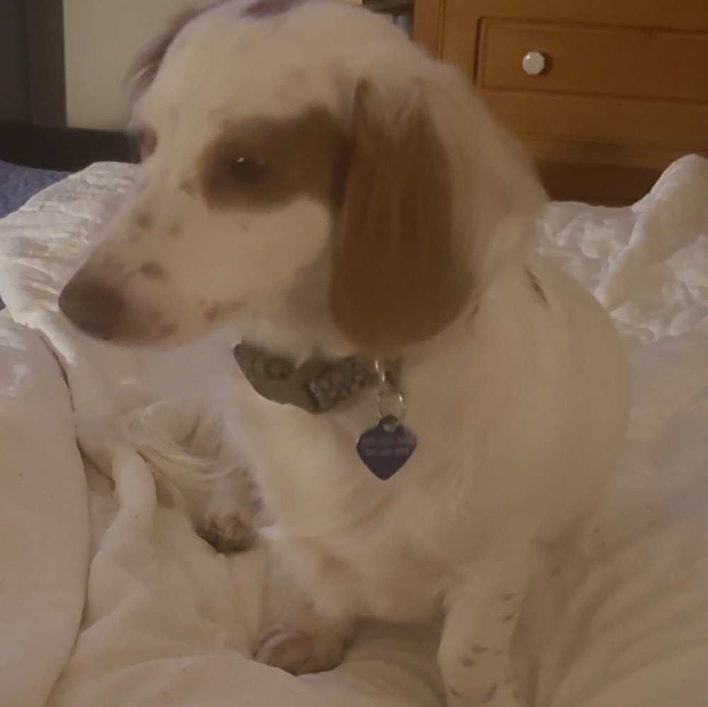 Meet your Posher, Miranda